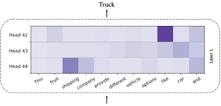 token clustering in attention layer