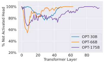 contextual sparsity in attention head