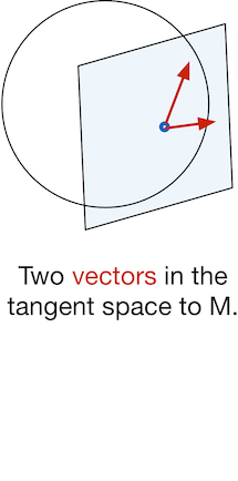 vectors