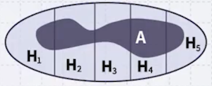 total probability