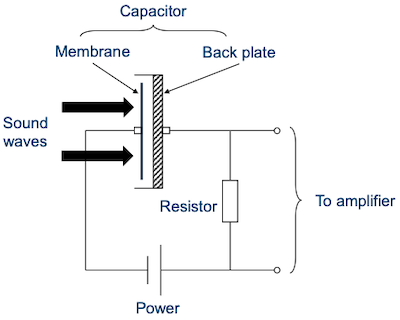 membrane