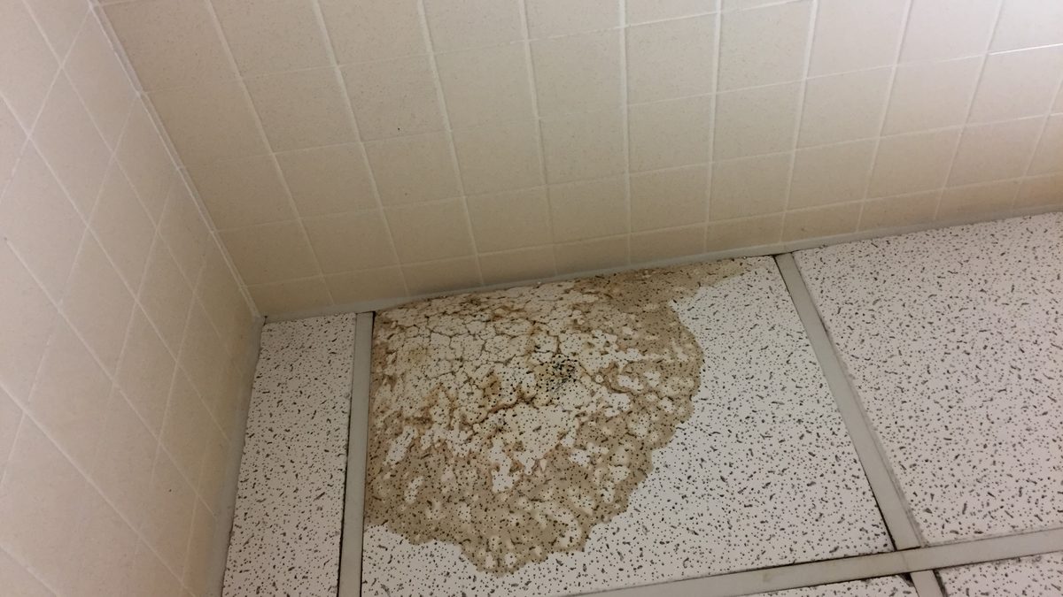 Brown water stain spreading across a white drop-ceiling tile