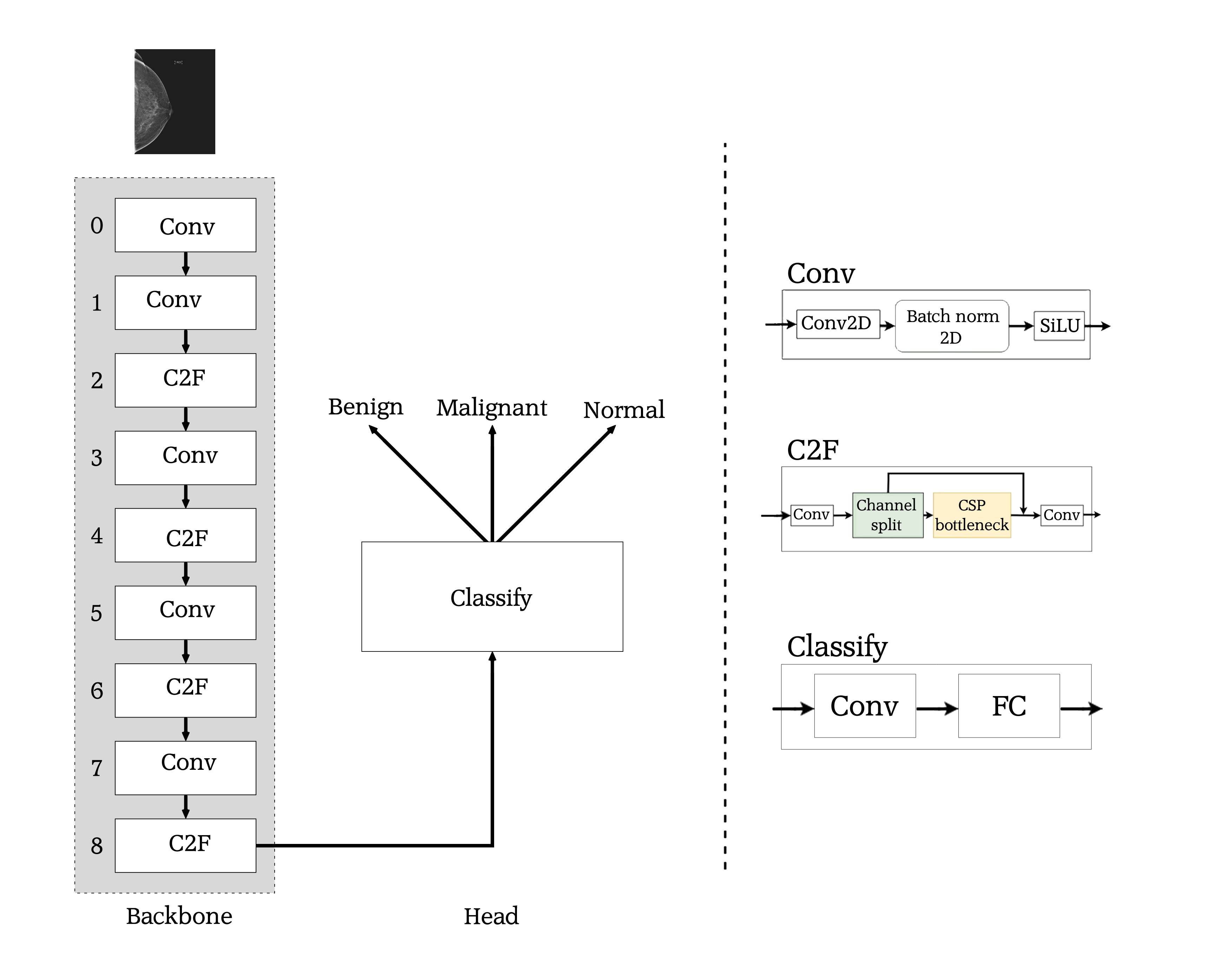 YOLOv8 Architecture