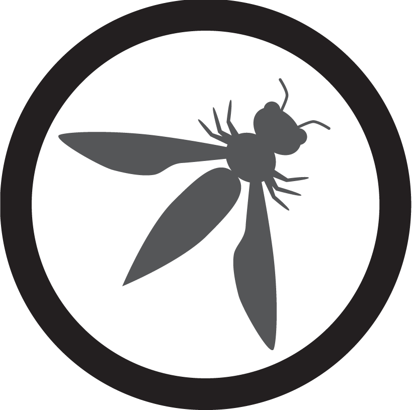 OWASP-TimeGap-Theory-logo