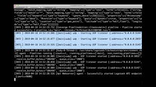 3. Logstash Configuration and Output