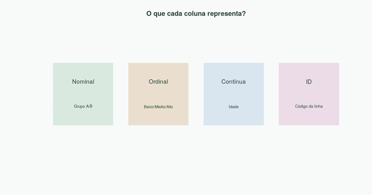 Quatro tipos de colunas: grupo nominal, classificação ordinal, idade contínua e identificador.
