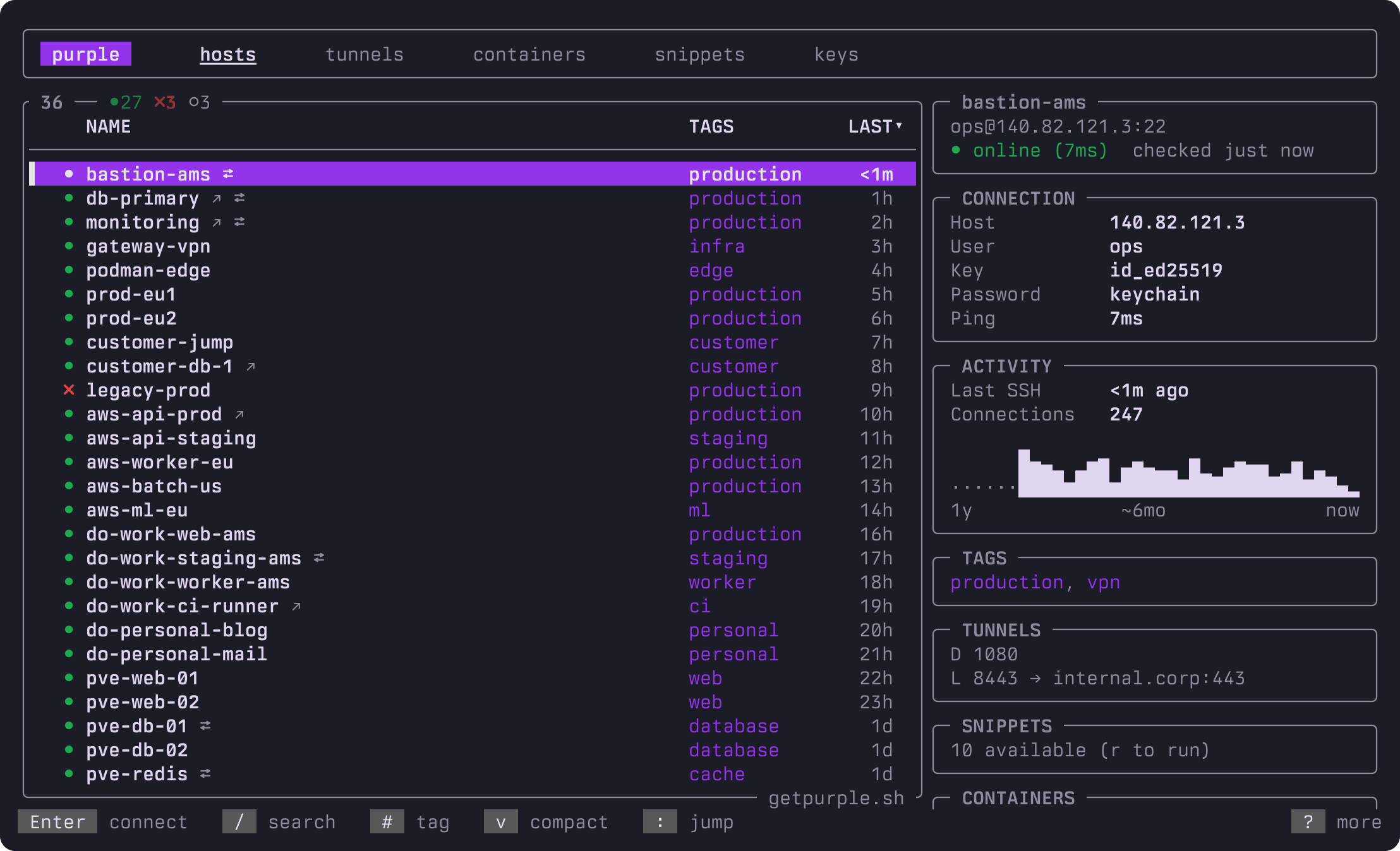 purple host list with the detail panel: connection info, jump route, activity sparkline, tags, tunnels and containers