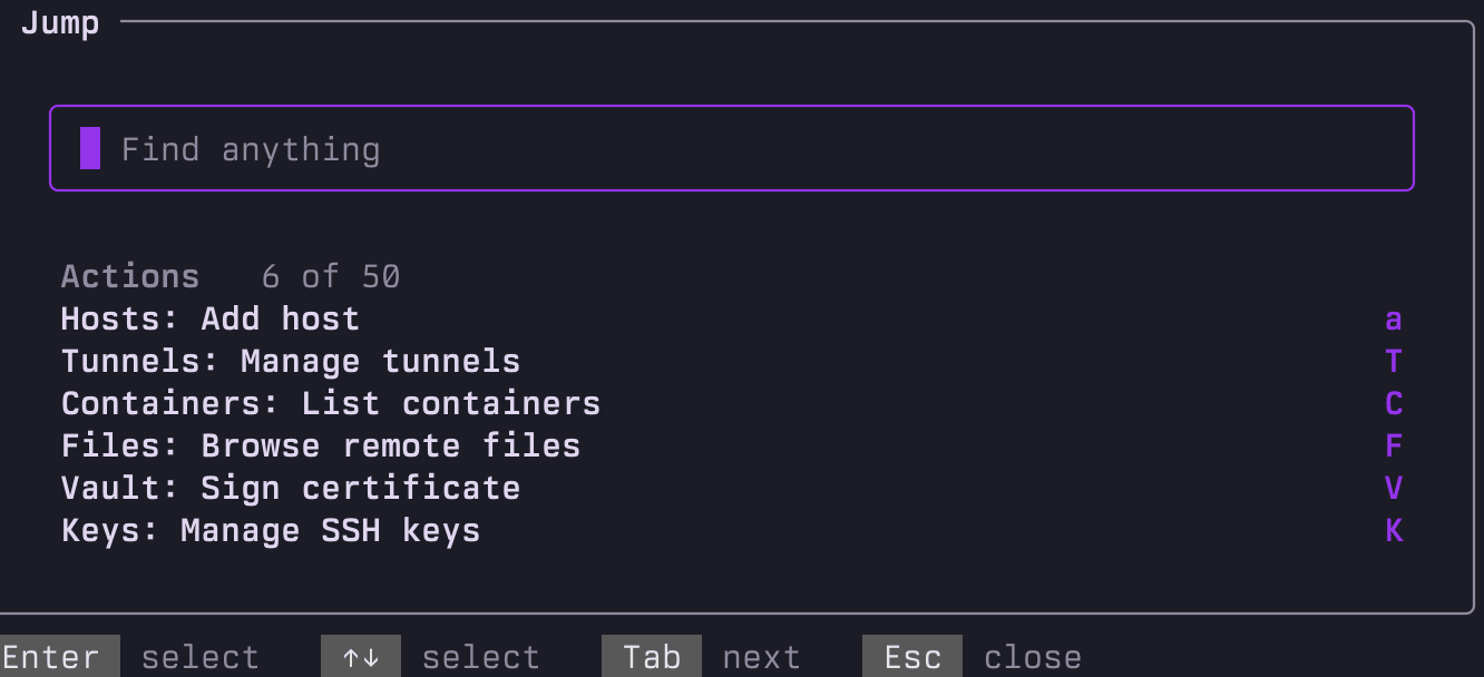 purple Jump bar close-up: universal fuzzy search across hosts, tunnels, containers, snippets and actions