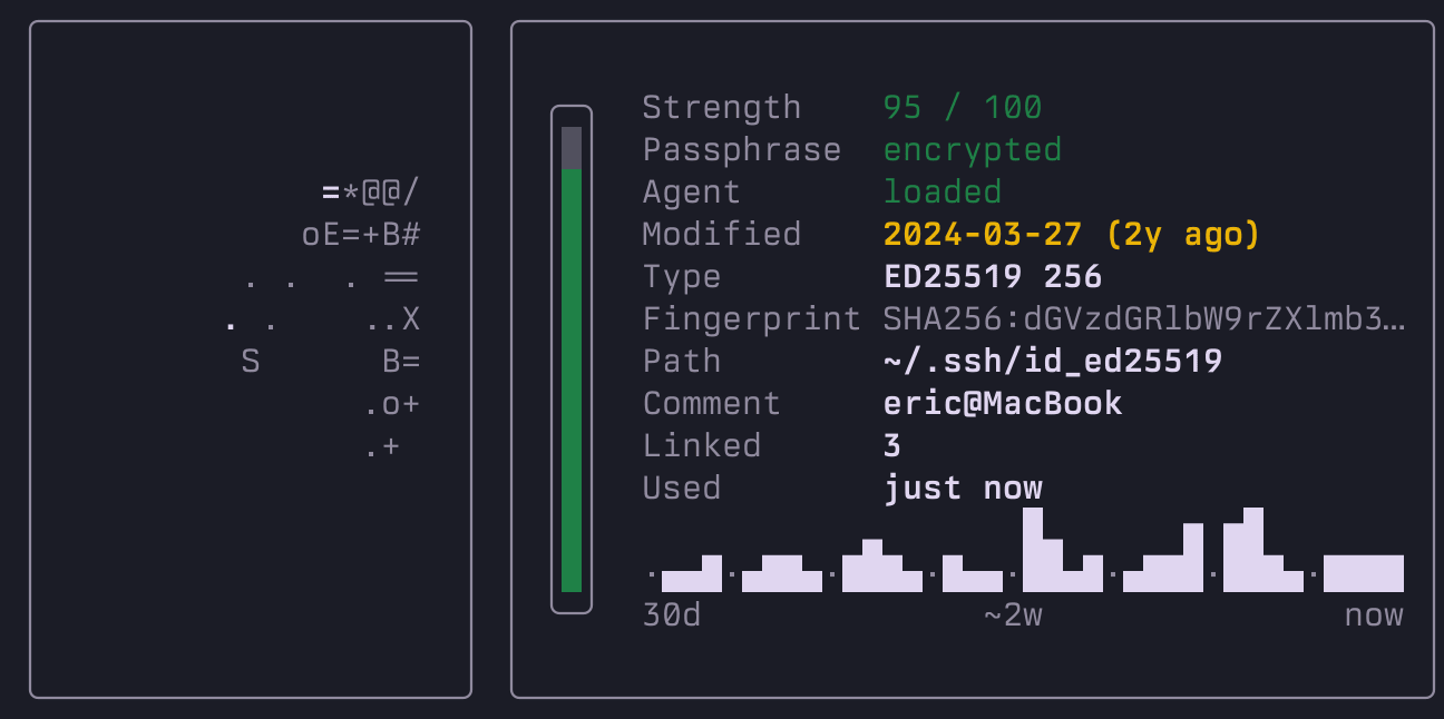 purple key detail close-up: randomart fingerprint, strength score, agent status and per-key activity