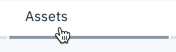 Assets tab