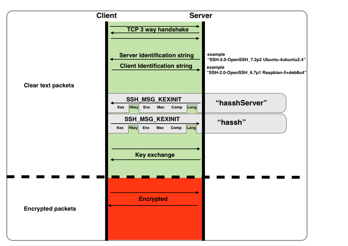 Get client id. SSH identification String example.