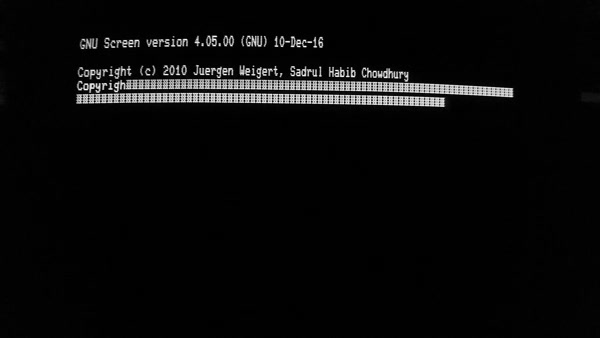 GNU Screen on a VT101