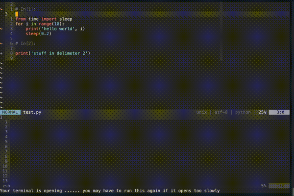 Run current file in a neovim terminal