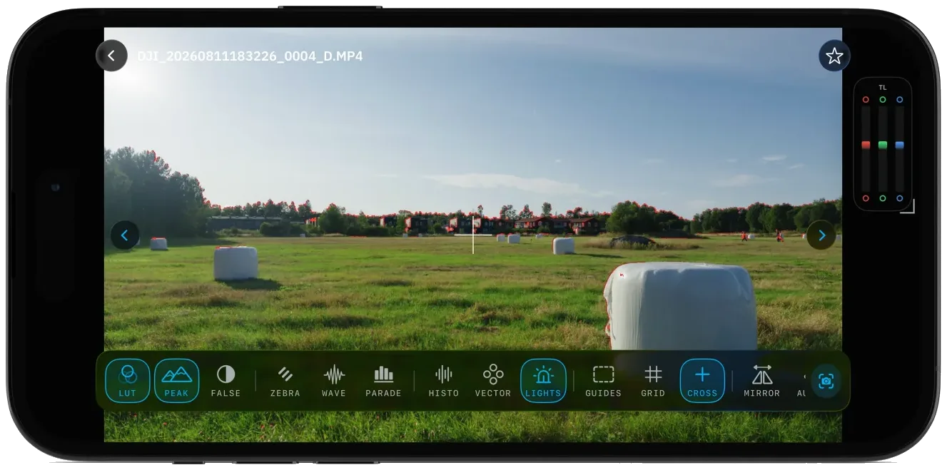 Clip playback with the full monitoring assist rail