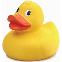 ducks-modular-redux — image 2