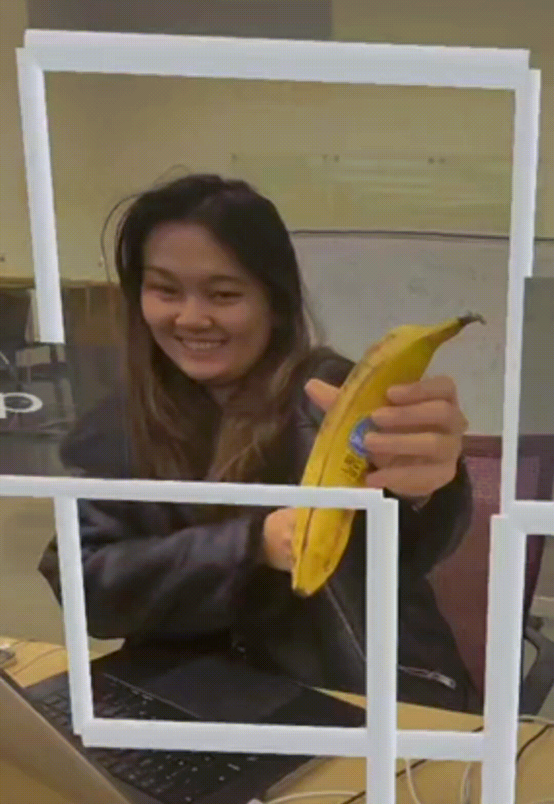 Banana Object Detection