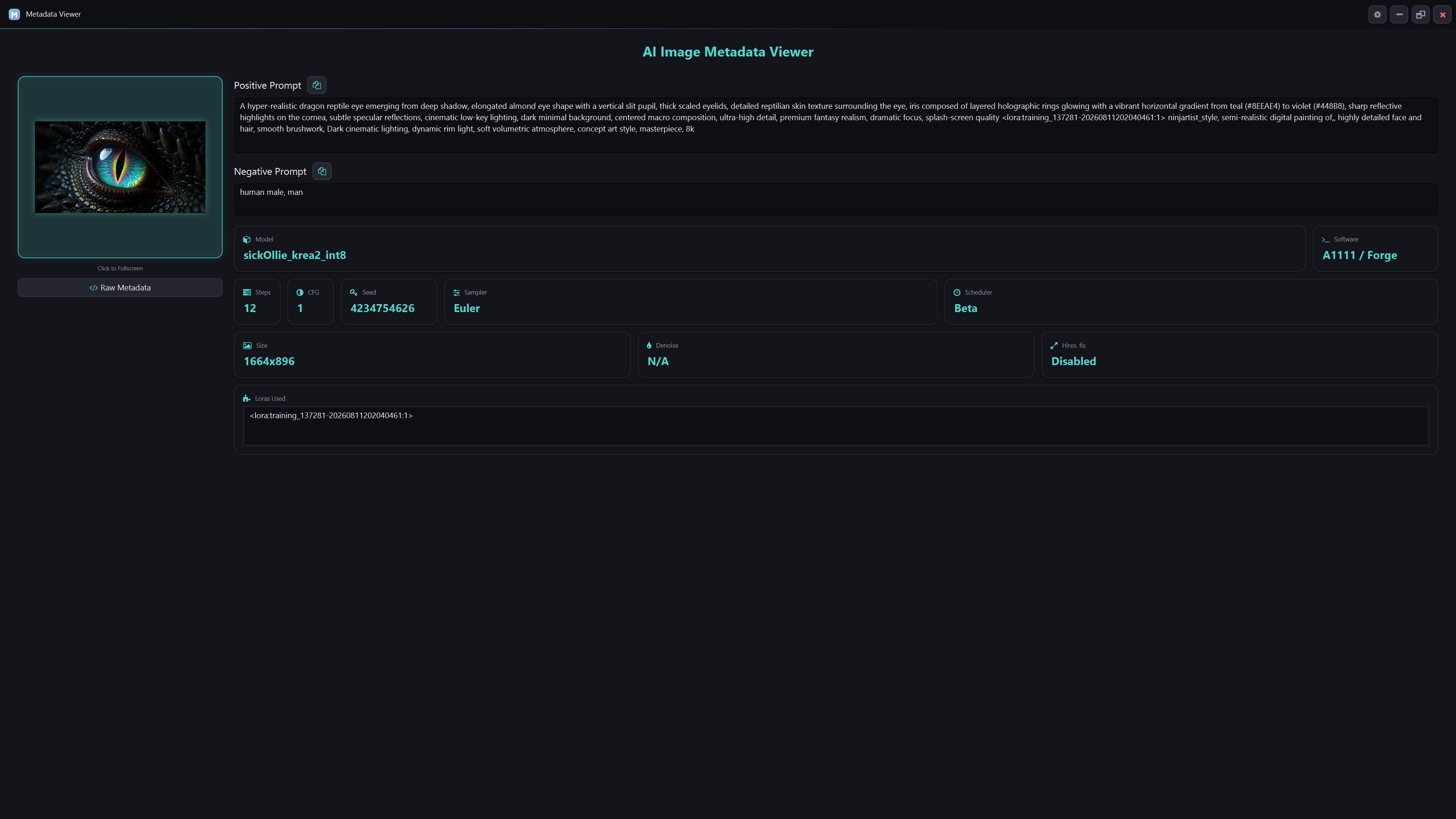 Metadata Viewer Application Screenshot