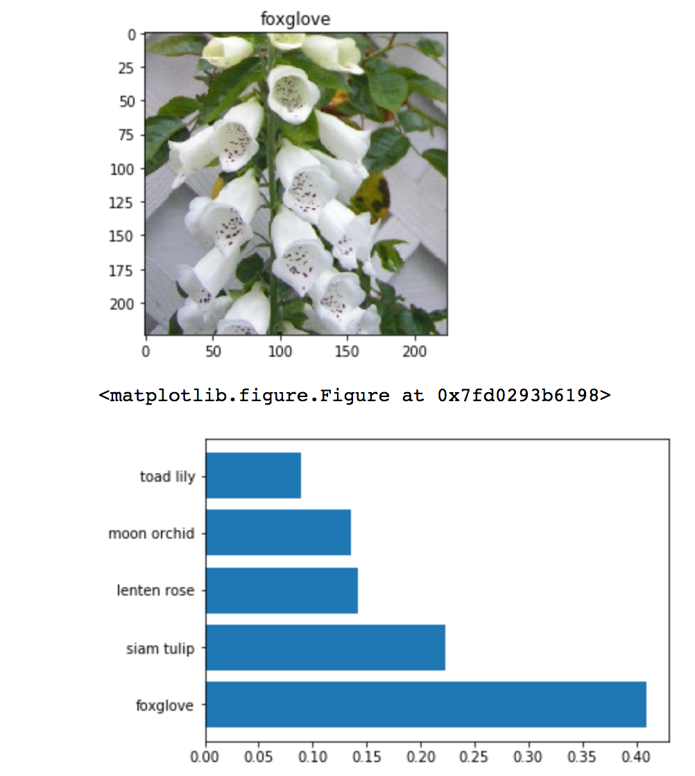 flower classification