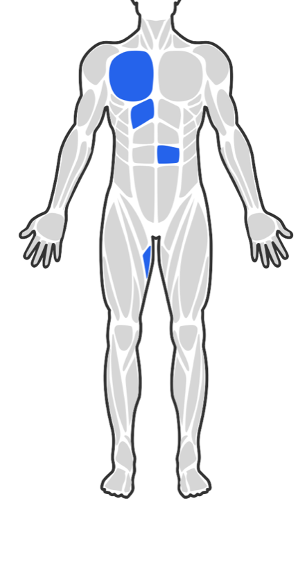 Interactive body picker with individual muscle fragments selected