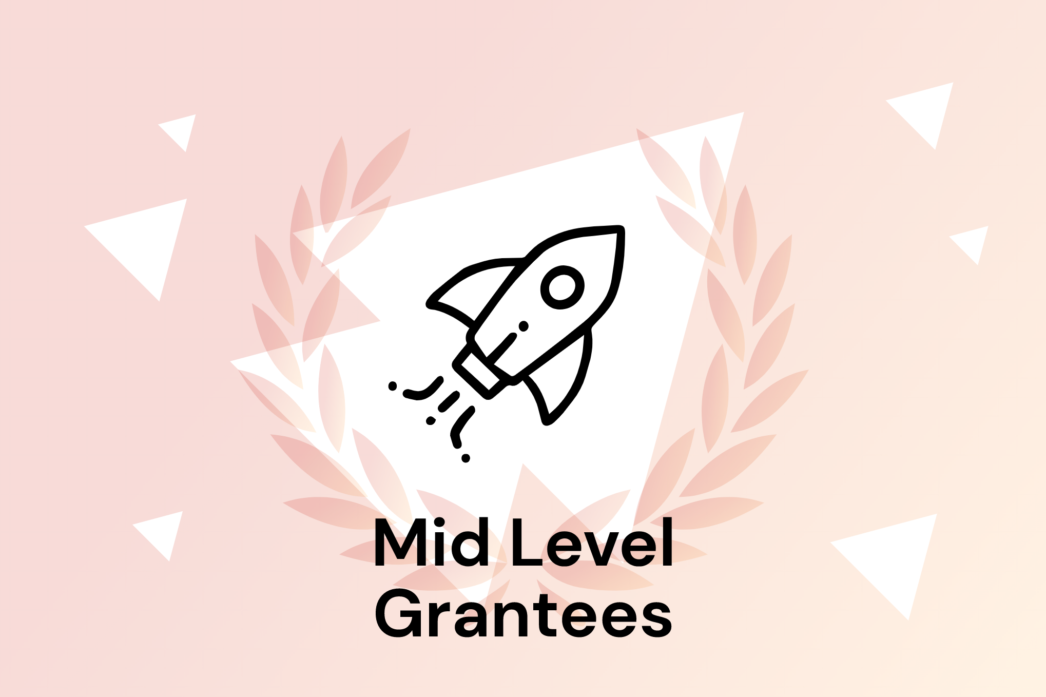 Grant for the Web Mid Level Grantee Image