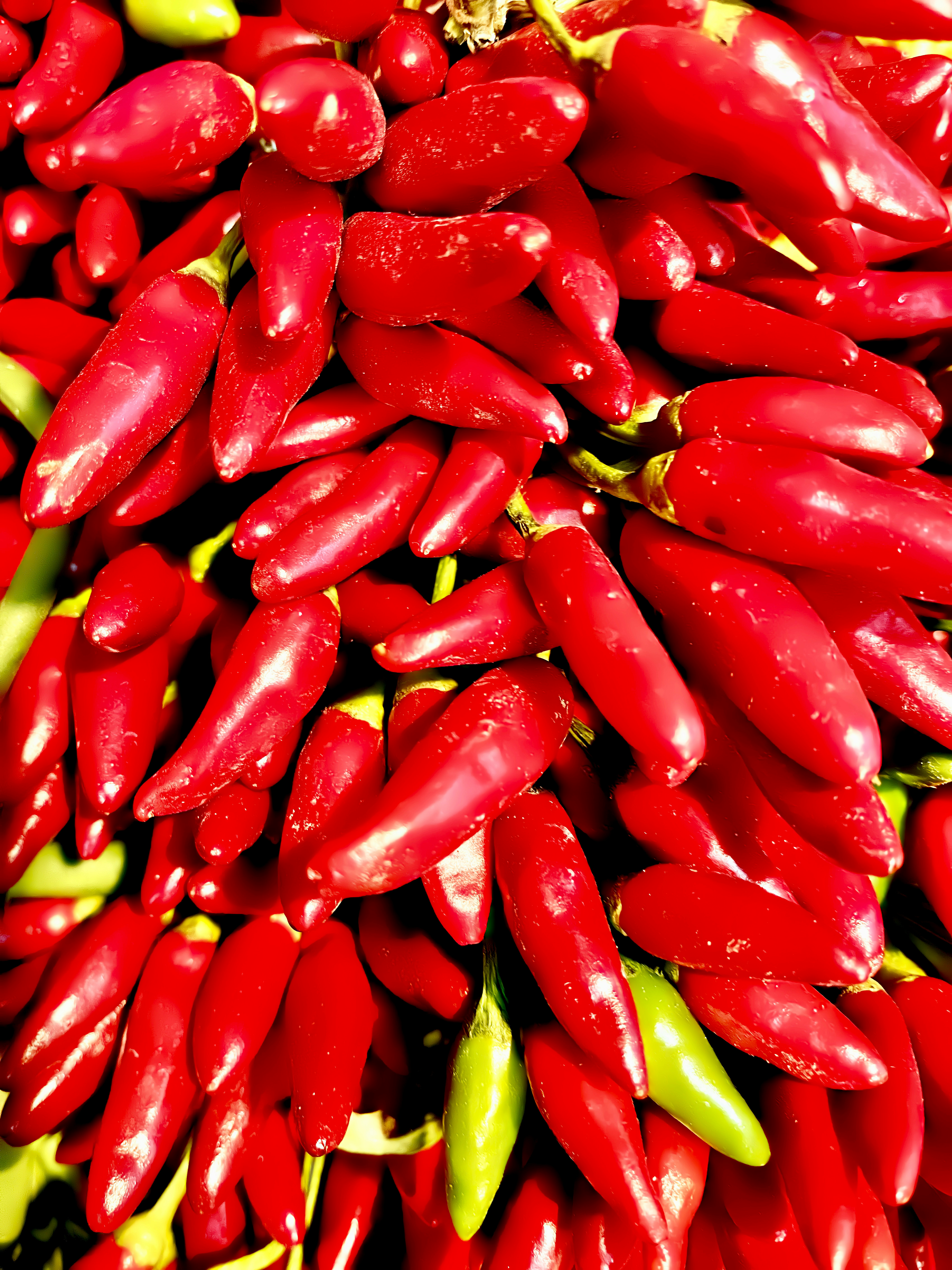 Pimientos rojos