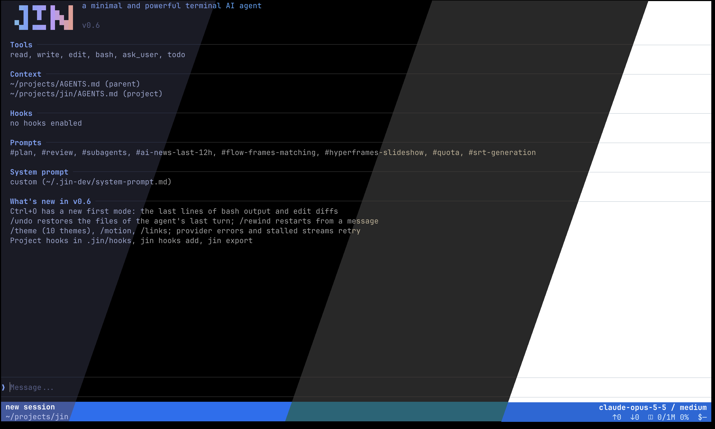 jin in a terminal