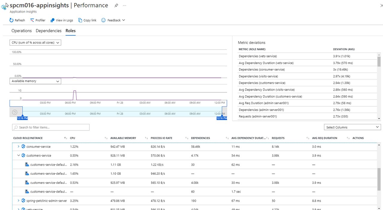 Application Insights Performance, Roles