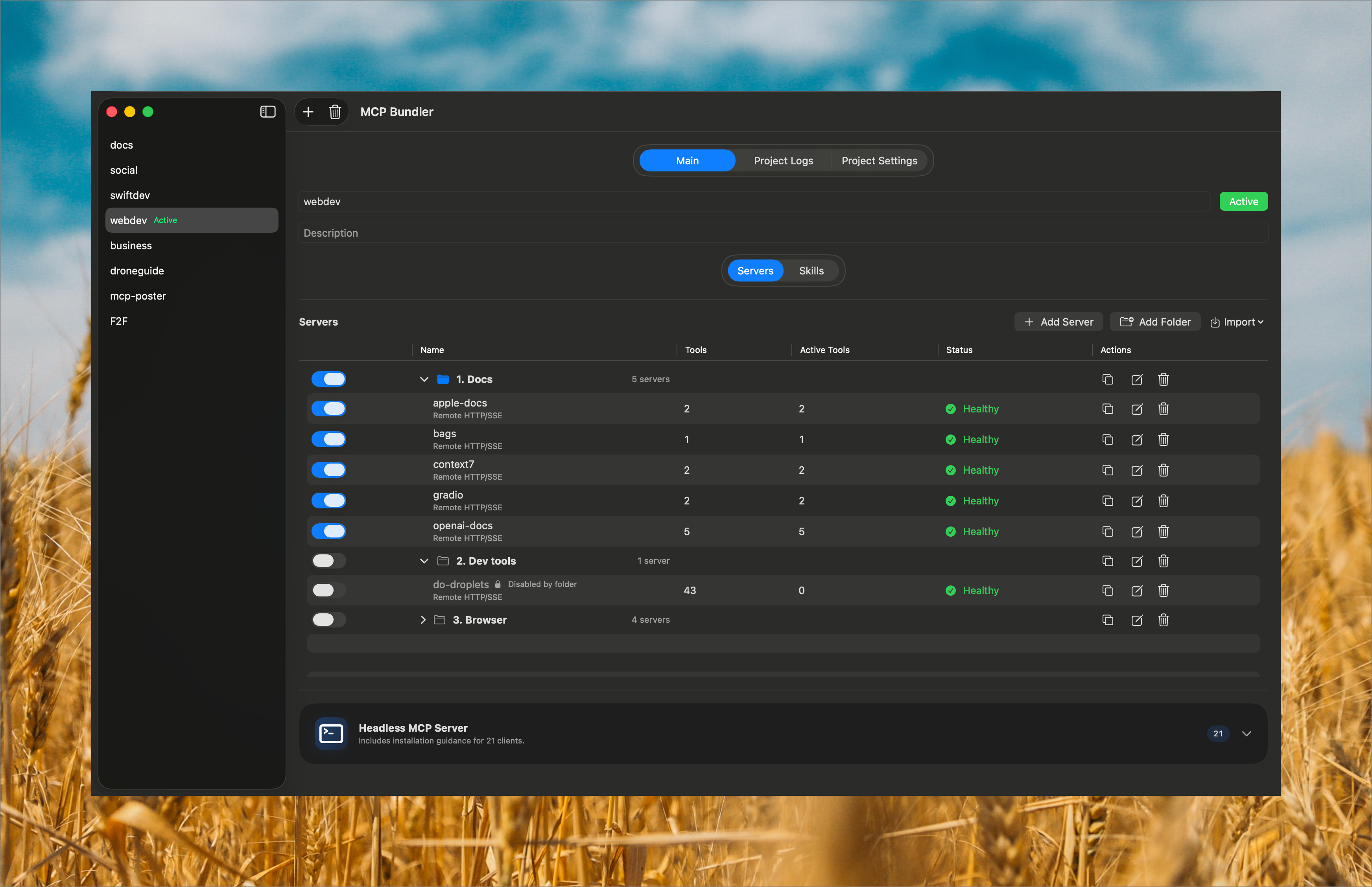 MCP Servers view