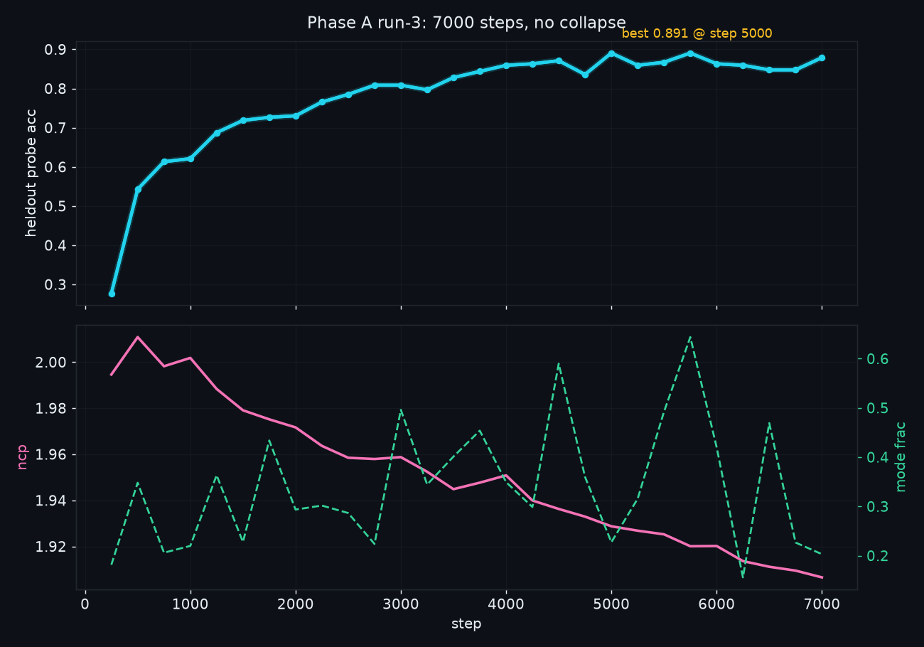 Probe accuracy and flat NCP across all 7,000 steps