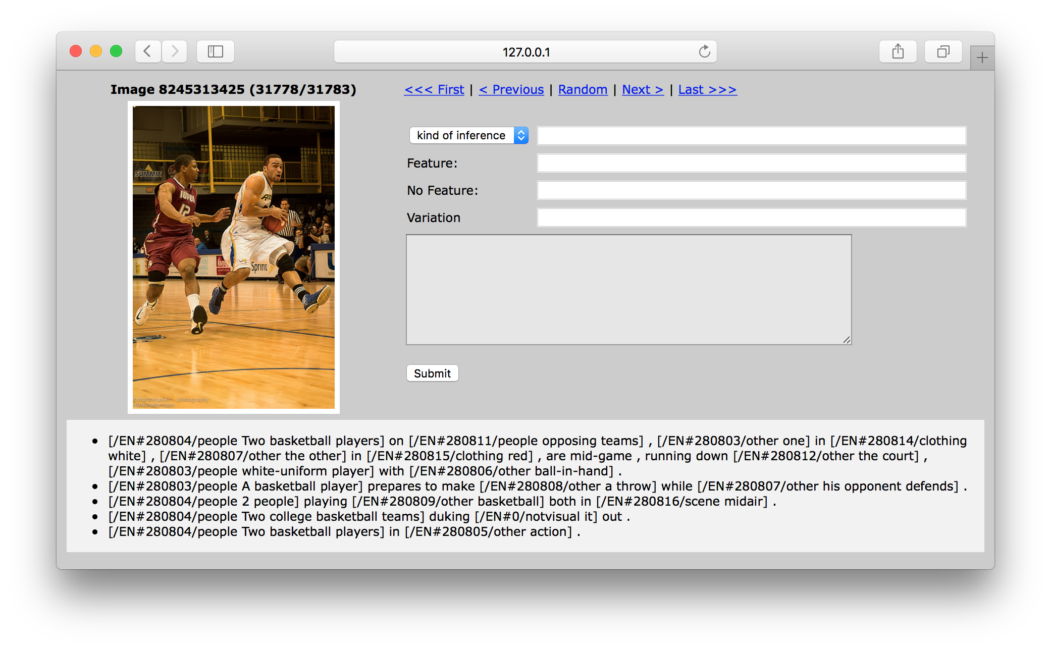 Screenshot of the image viewer tool