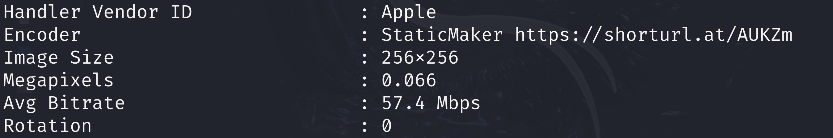 image-20260508175621508