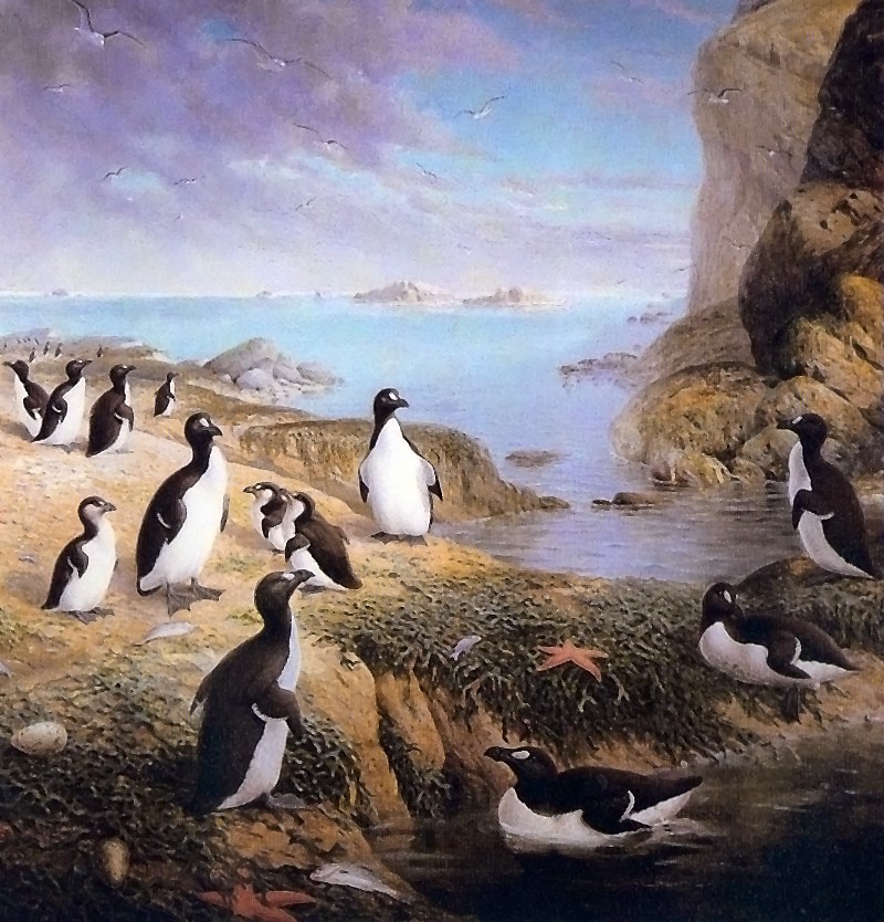 The Great Auks at Home, oil on canvas by John Gerrard Keulemans