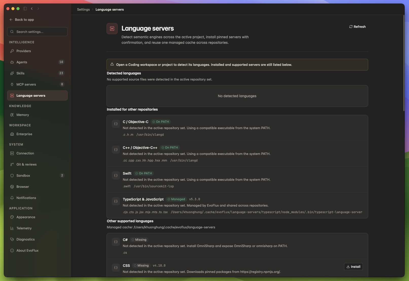 EvoFlux language server management