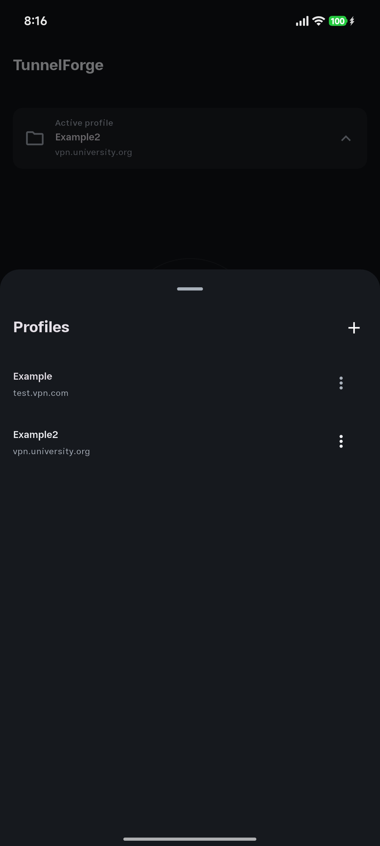 Screenshot 2 of Tunnel Forge — opens full size