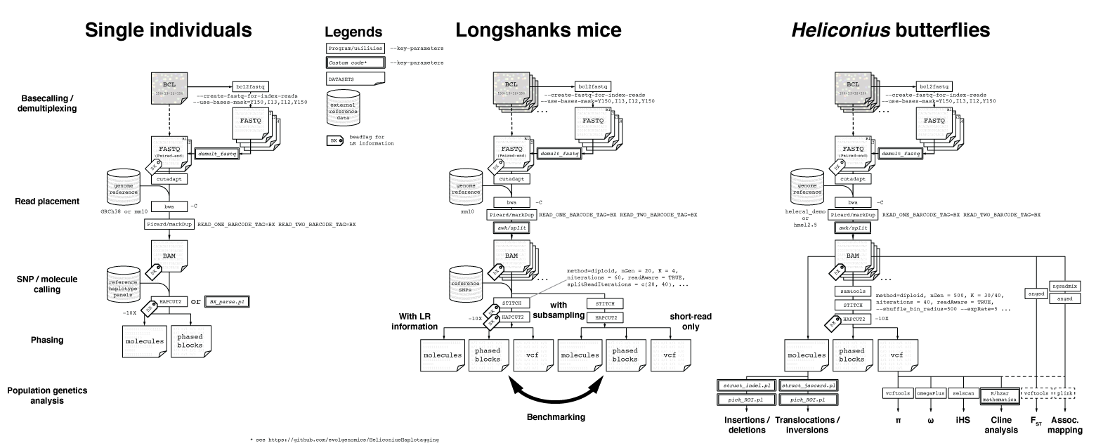 Pipeline