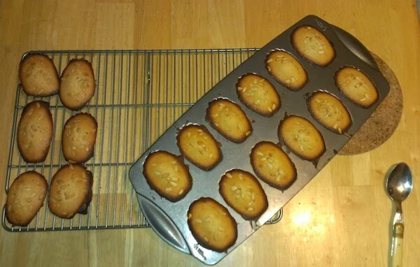 My Grandmother's Madeleines recipe