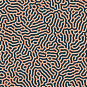 Coral