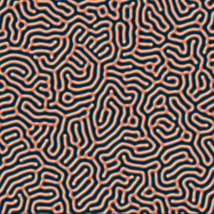 Fingerprint