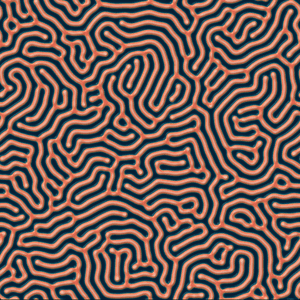Labyrinth