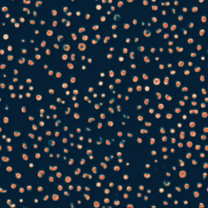 Waves