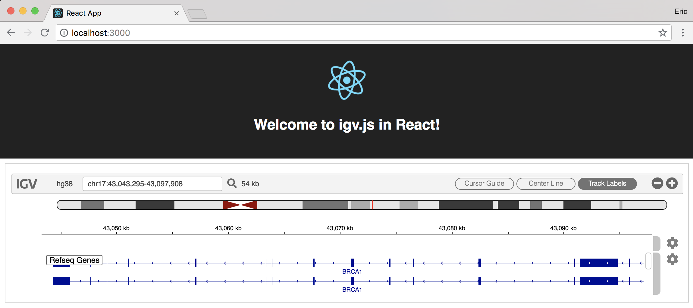 igv.js in React screenshot