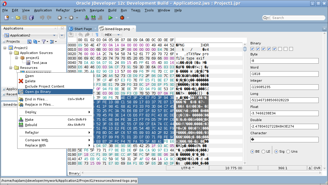 BinEd-Editor Screenshot