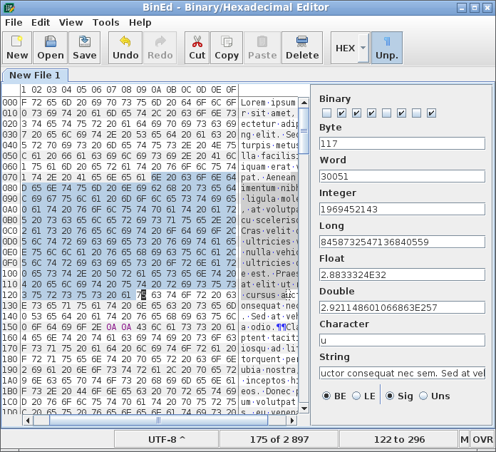 BinEd-Application Screenshot