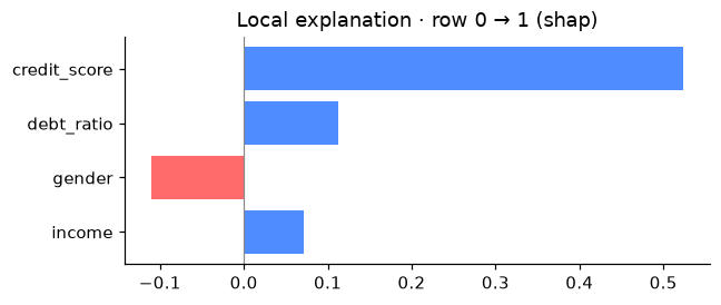 local explanation
