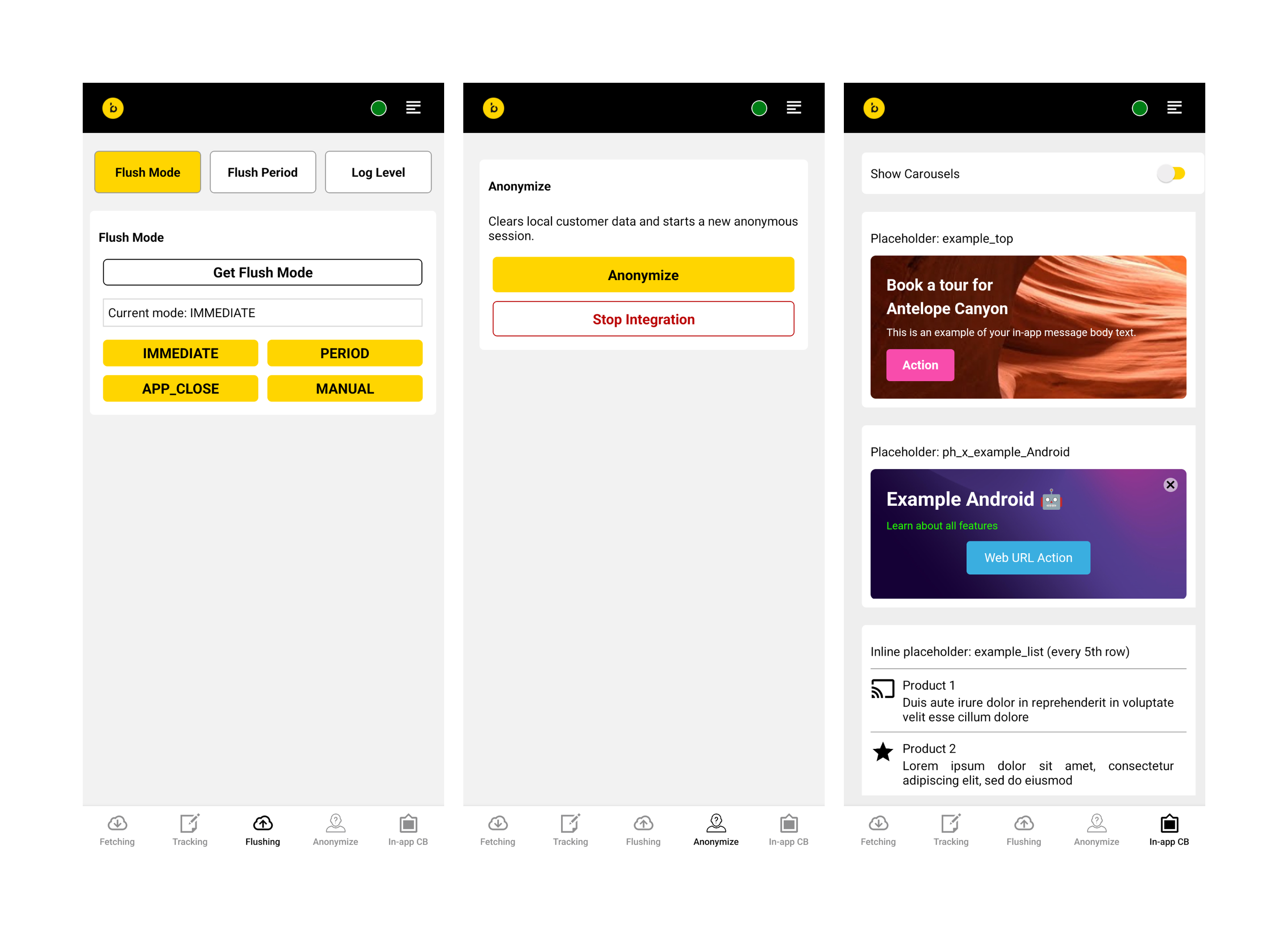 Example app Flushing, Anonymize and In-app CB screens