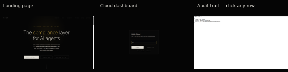 Quick tour: landing page, cloud dashboard, audit trail