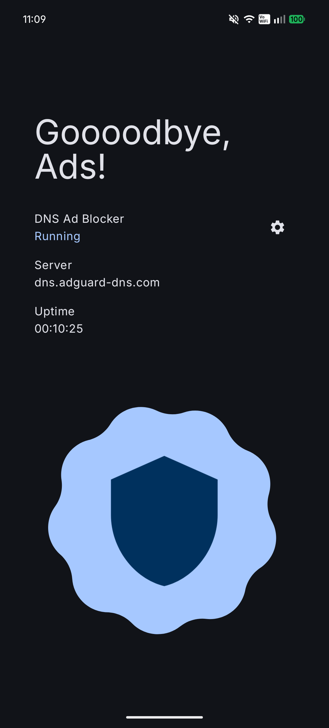 ADNS main screen