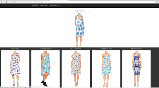 Image search and similarity results