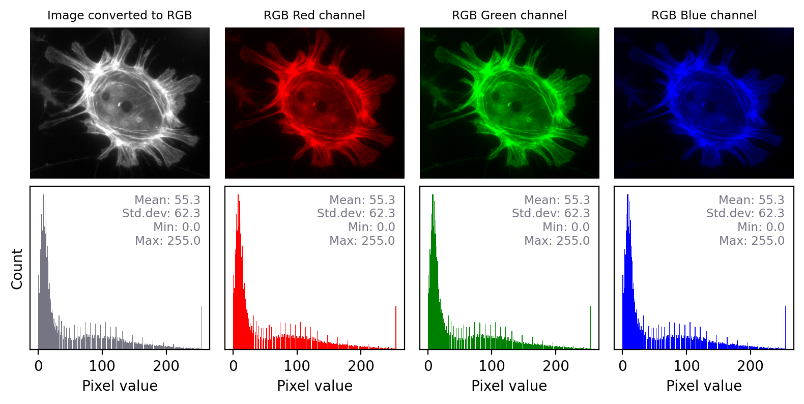 RGB channels shown separately