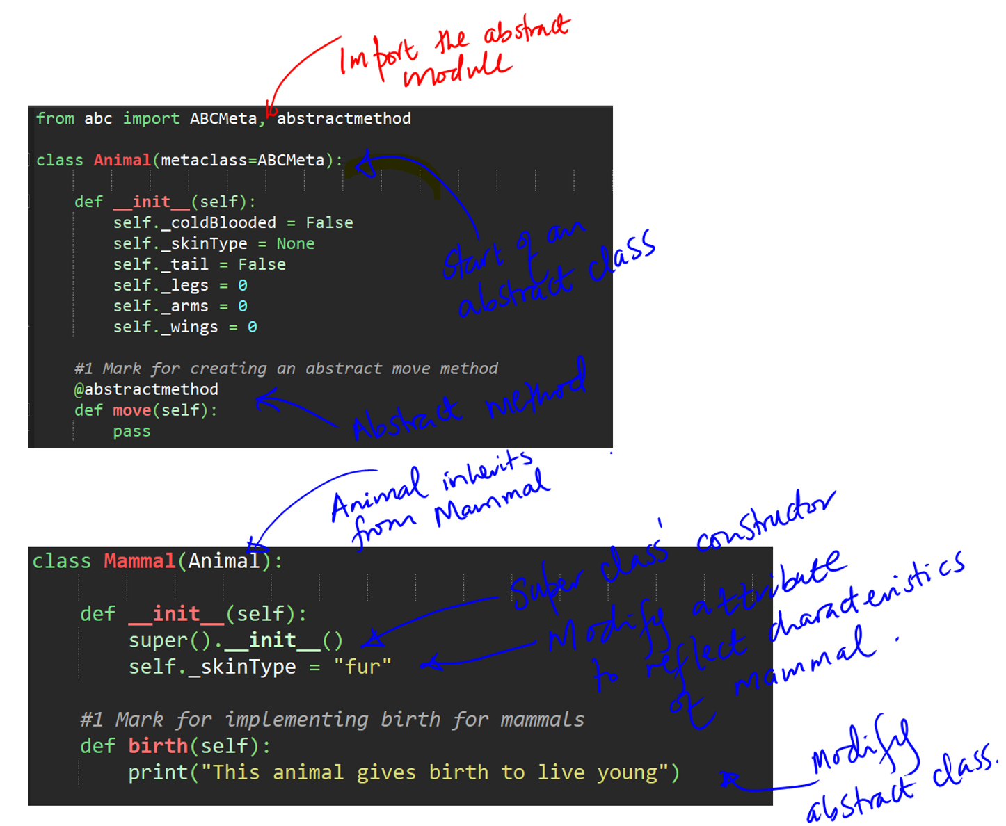 Start up code templates for inheritance and Abstract method implementation